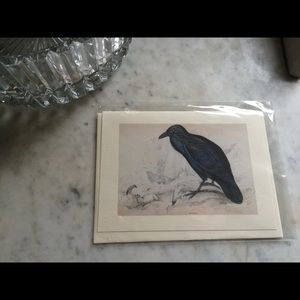 Blank Card / Gift tag